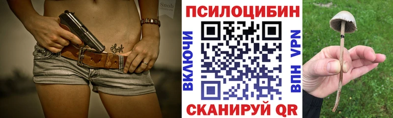цена наркотик  Волоколамск  Псилоцибиновые грибы мицелий 